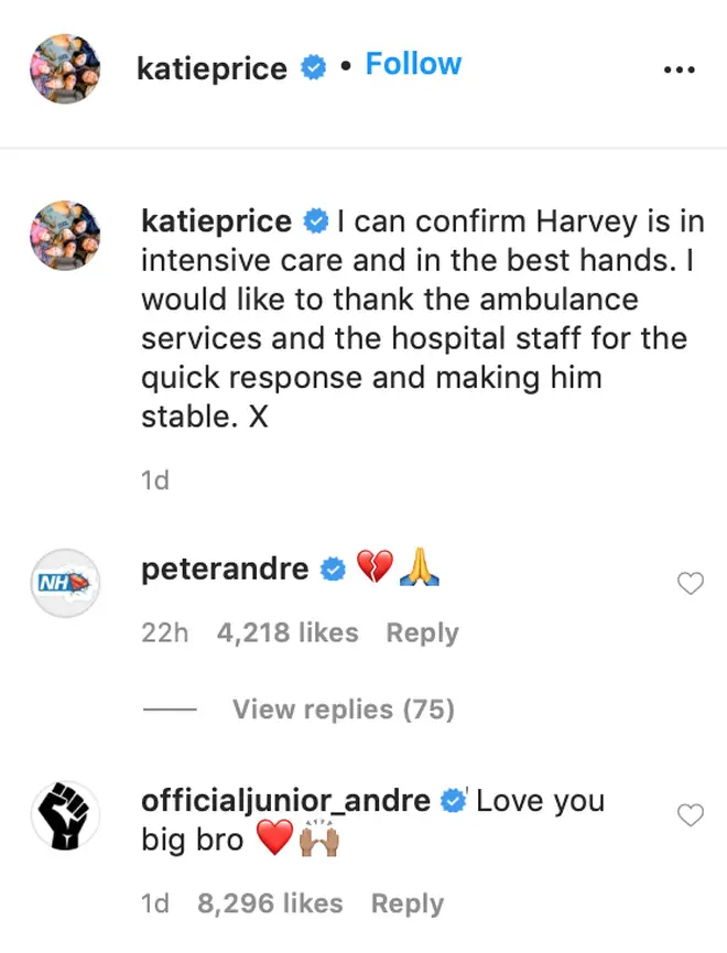 Peter Andre commented a praying emoji on Katie Price's post about Harvey