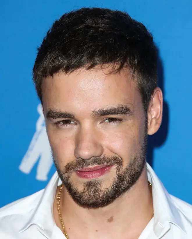 Liam has pursued a number of solo projects since One Direction's hiatus