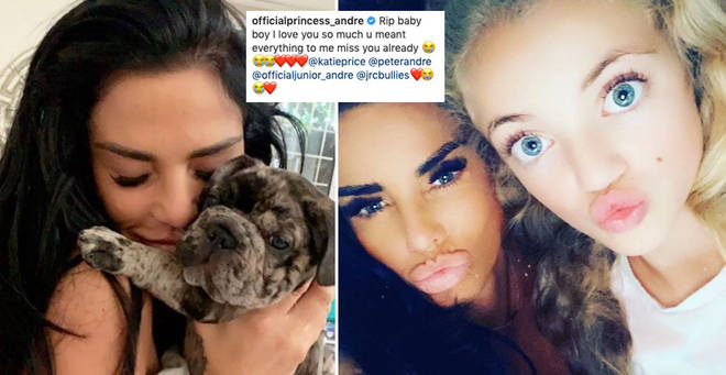Katie Price's daughter Princess lost her dog