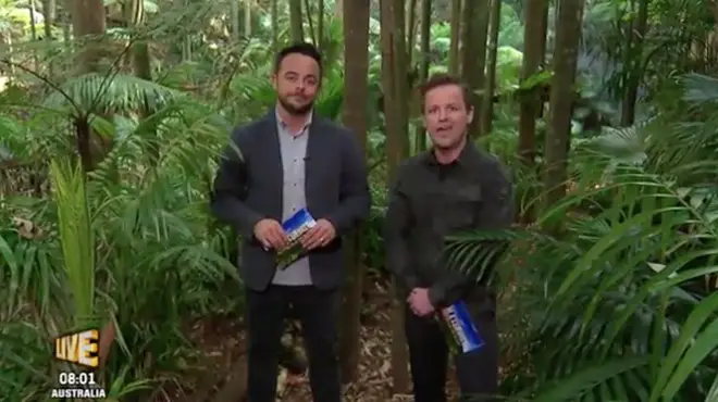 Ant and Dec will be back in the I'm A Celebrity jungle later this year