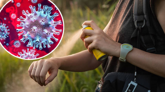 There have been reports insect repellent can kill coronavirus