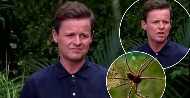 Declan Donnelly opened up about his terrifying I'm A Celeb spider bite ordeal