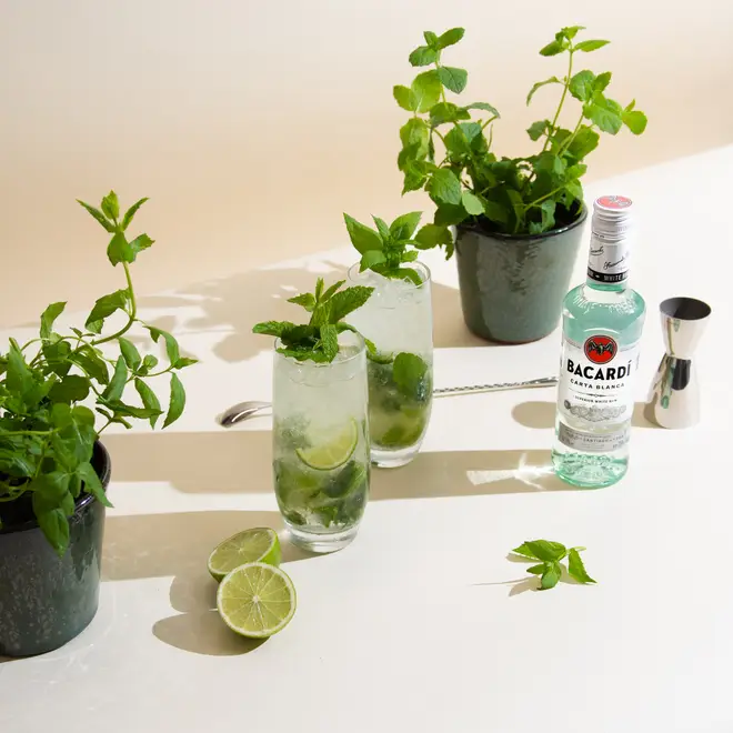 Make a fresher mojito than ever before