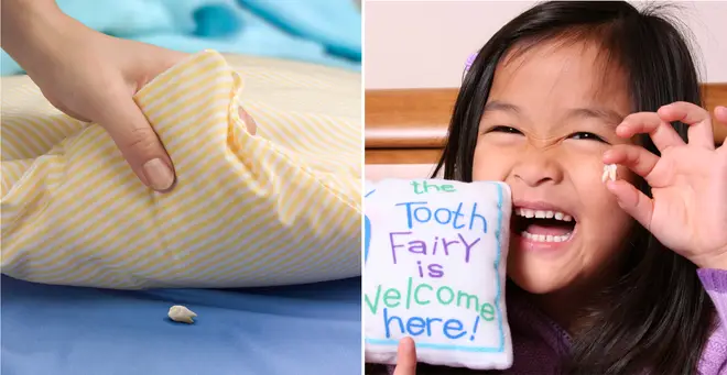 How much does your tooth fairy gift? (stock images)