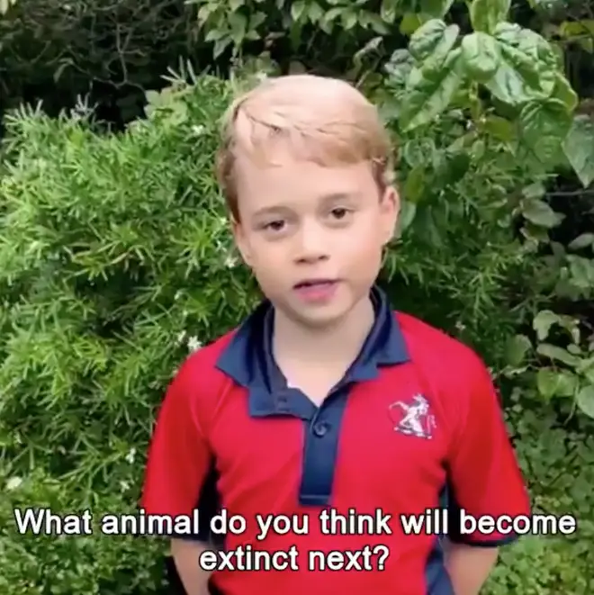 Prince George looked so grown up as he asked David Attenborough his question