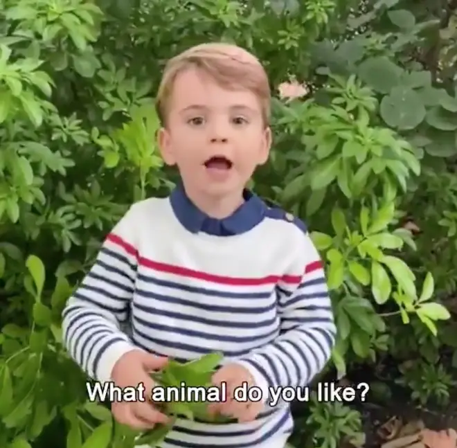 Prince Louis looked adorable in a striped jumper for the video