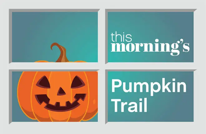 This Morning have pumpkin templates you can download and print off for your window