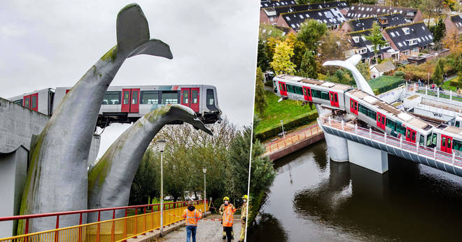 A train driver was saved by a huge whale sculpture