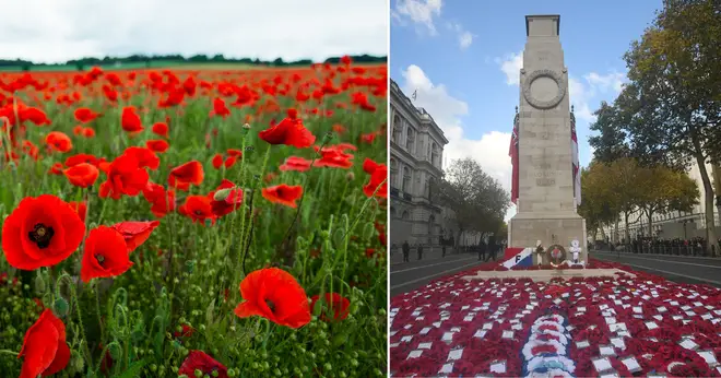 Ways to honour Remembrance Sunday at home