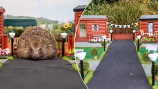 A Hedgehog hotel has been created in the UK