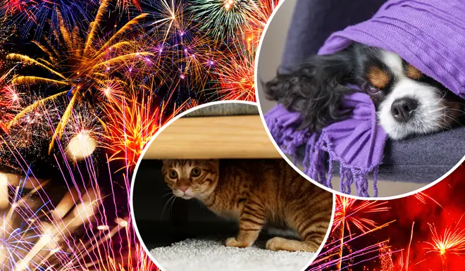 Is it time to say goodbye to fireworks?