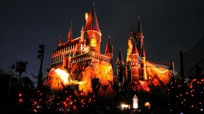 A new rollercoaster experience is coming to Universal Orlando's Wizarding World of Harry Potter