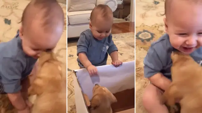 The little boy's reaction to the puppy will melt your heart