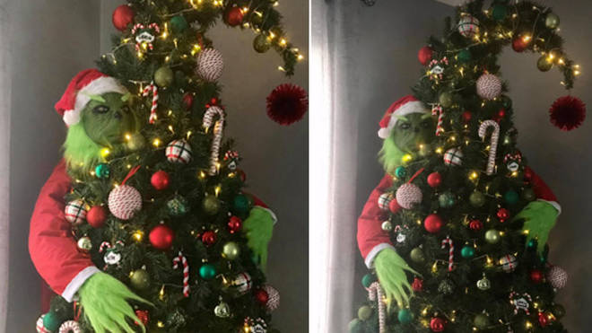 A woman has created a Grinch-themed Christmas tree