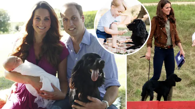 Kate Middleton and Prince William said Lupo was the 'heart' of their family