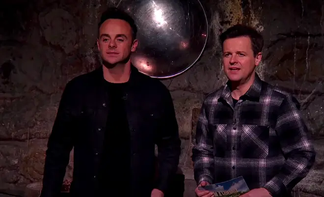 Ant and Dec were accused of helping AJ and Jess out too much in the trial