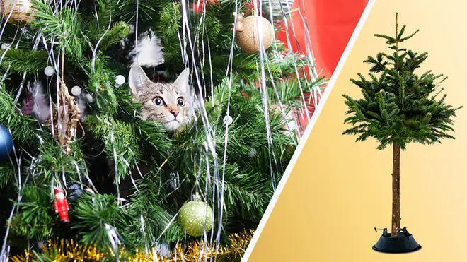 Sorry cats, your bauble-chasing days are numbered
