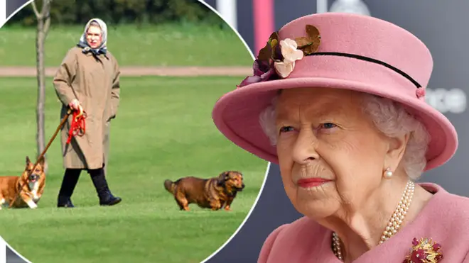 The Queen's dog has died