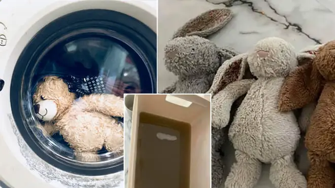 A woman has revealed why you should wash kids' teddies weekly