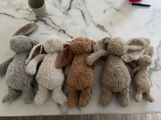 A mum has shared before and after photos of her kids' bunnies