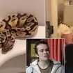 Coronation Street star Harry Visinoni found a snake in his toilet