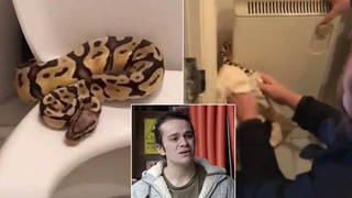 Coronation Street star Harry Visinoni found a snake in his toilet