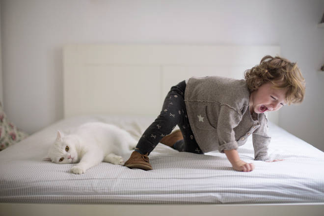 Hilary's sleep calculator shows what time kids should got to bed based on their age
