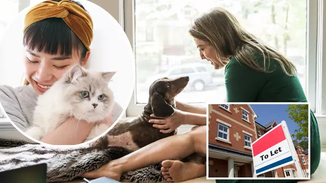 Pet owners will soon be able to have more choice when it comes to renting
