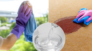Distilled vinegar can be used to clean lots of things around your house