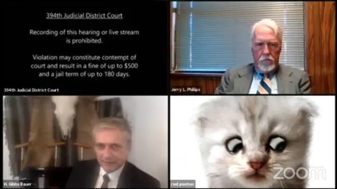 The lawyer struggled to remove the kitten filter during the meeting