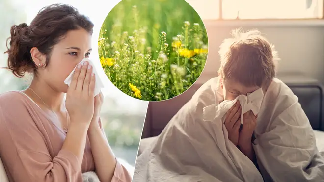 Experts are warning there could be a 'pollen bomb' this weekend