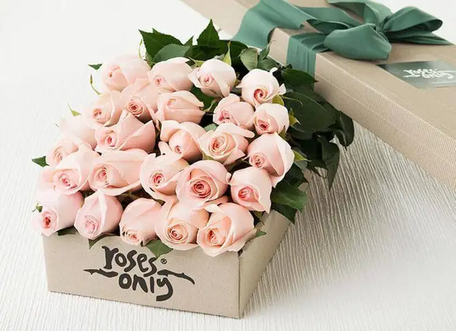 Surprise mum with 24 baby pink roses