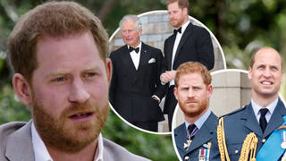 Prince Harry said he feels 'compassion' for his brother and his father as they are 'trapped'