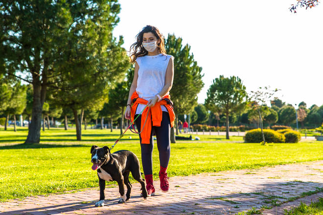 Get your dogs used to being walked at a different time