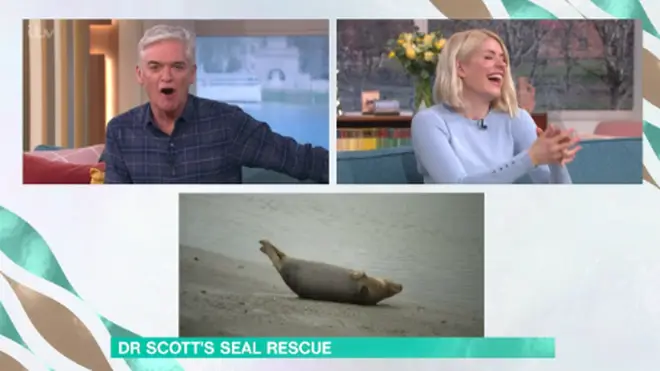 Holly and Phil were left in hysterics as the cameras zoomed in on the seal weeing