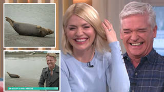 Holly Willoughby and Phillip Schofield in fits of laughter as seal starts urinating on live TV