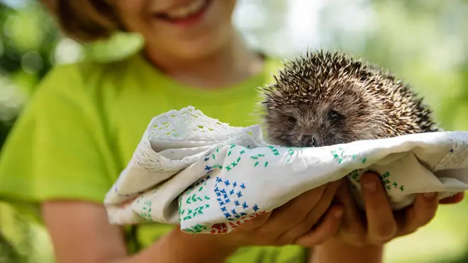 People are being warned to check their gardens for hedgehogs before they start gardening