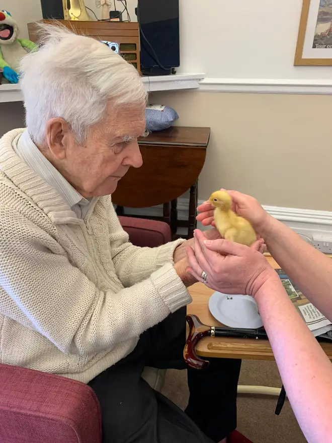 The chicks are said to have bought the residents 'tremendous amounts of joy'