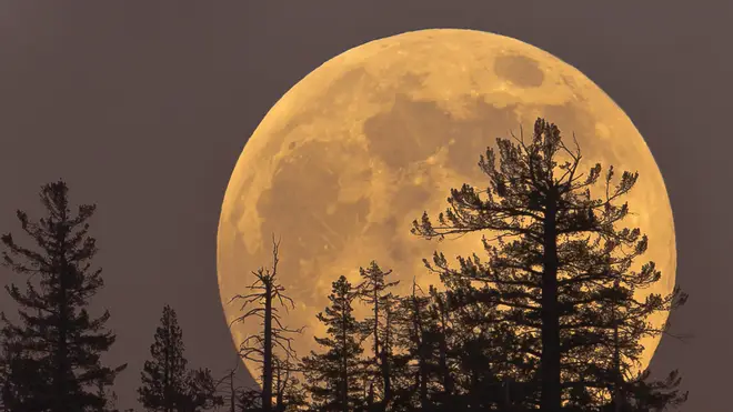 The Super Worm Moon will be bigger and brighter than usual