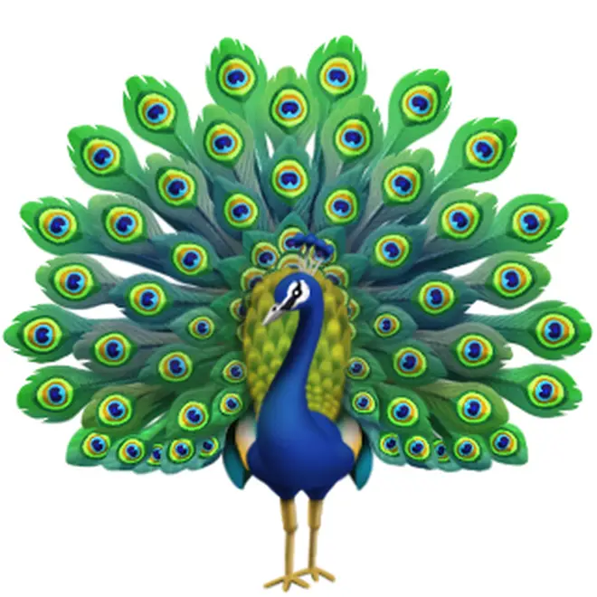 Not sure when we'll need this but its nice to know there's a peacock emoji just in case!