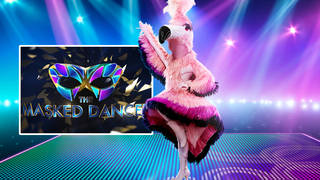 Who is Flamingo on The Masked Dancer?