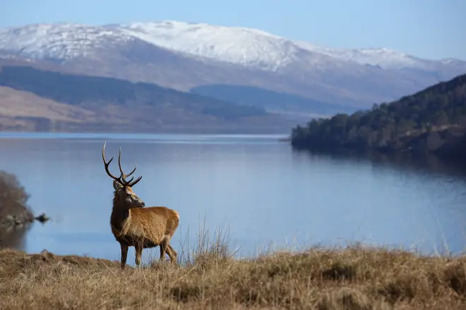 Loch Arkaig was used to form Dumbledore's final resting place