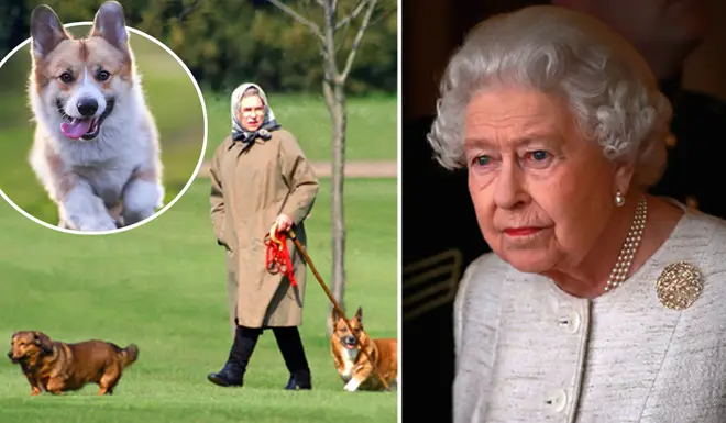 The Queen has tragically lost one of her new puppies