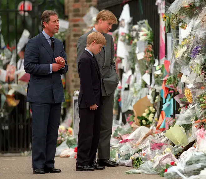 Prince Harry and Prince William had to walk behind Diana's coffin at the funeral