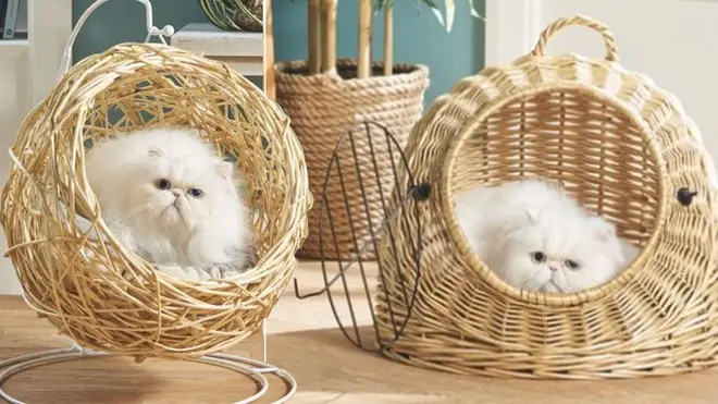 Aldi is now selling hanging egg chair for your cat