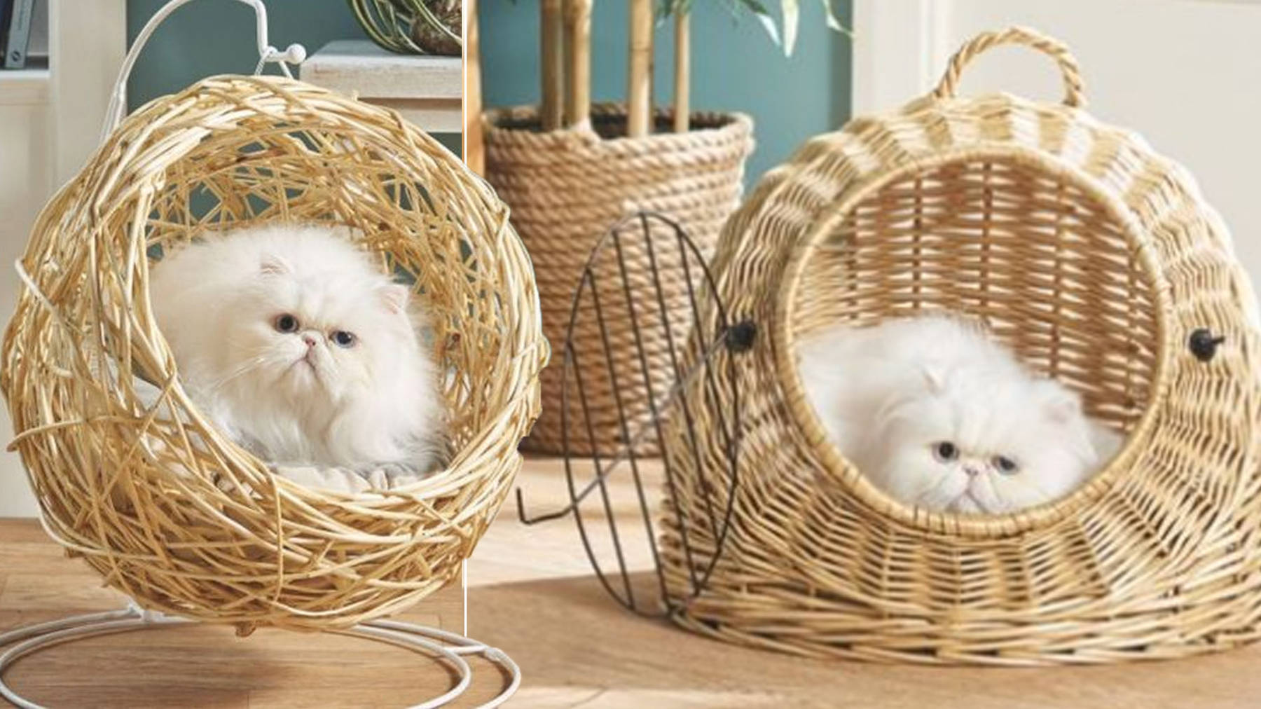 You Can Now Get A Hanging Egg Chair For, Are Egg Chairs Safe For Dogs