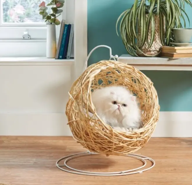 Aldi has now launched a hanging egg chair for your cat