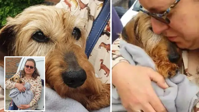 Rikki was reunited with his owner Shelley this week after two months