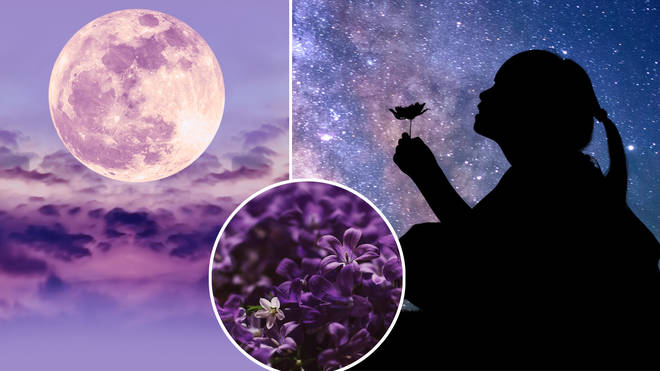The Flower Moon will be the biggest and brightest supermoon of the year