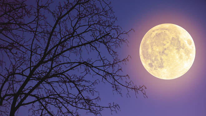 The moon will be closest to the Earth at dawn, but will be more visible in the evening